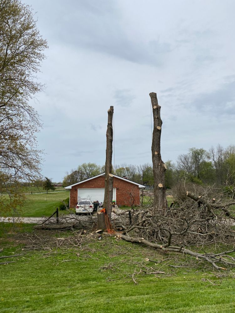 All Photos for Houtz Tree Service in Lexington, KY