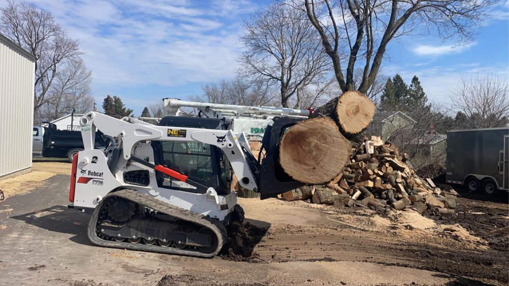 Tree Removal for Fransen's Tree Service  in Freeport, IL