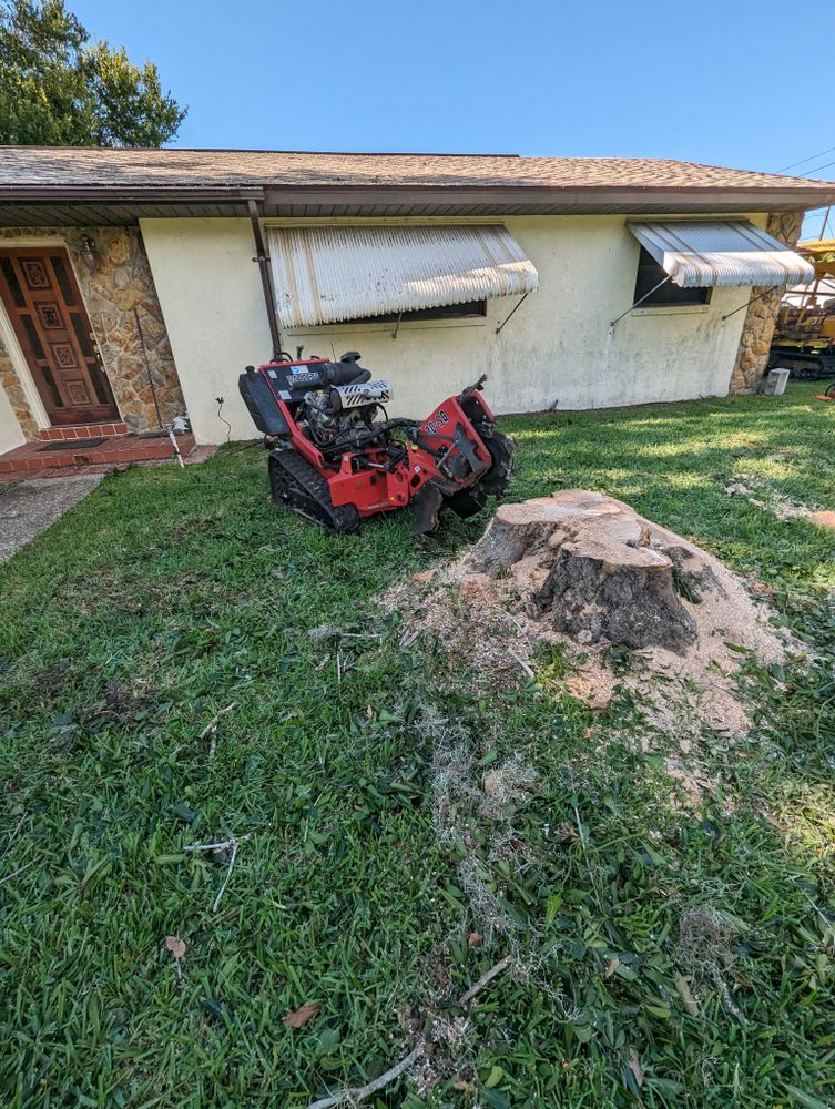 All Photos for Regal Tree Service and Stump Grinding in Wauchula, FL