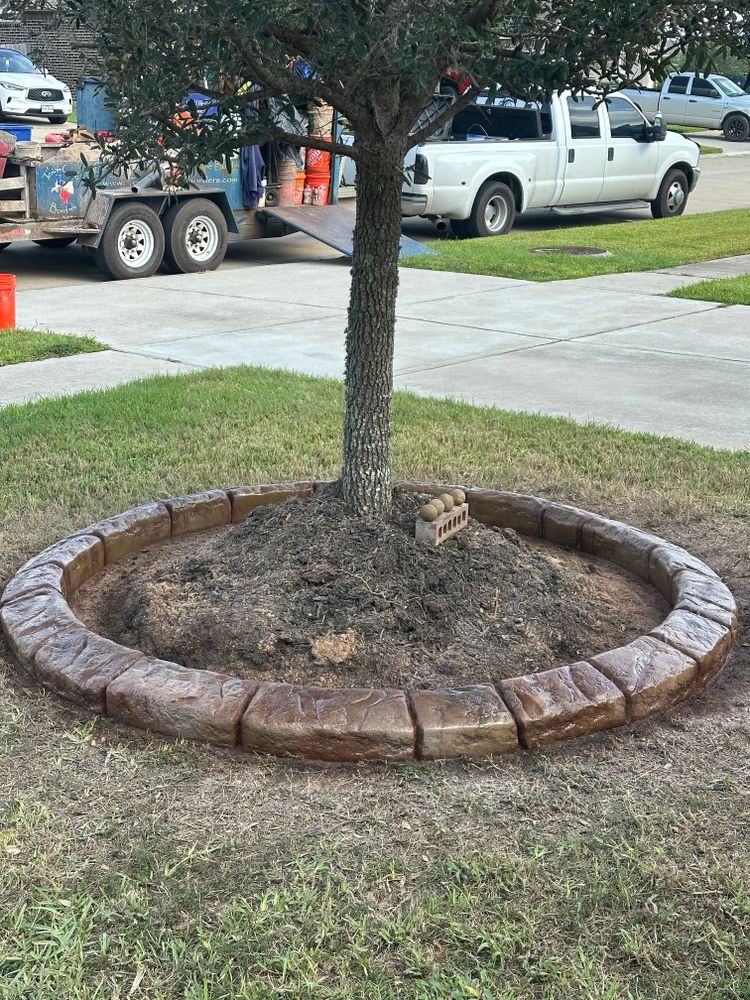 All Photos for Texas Curb N Borders in Houston, TX