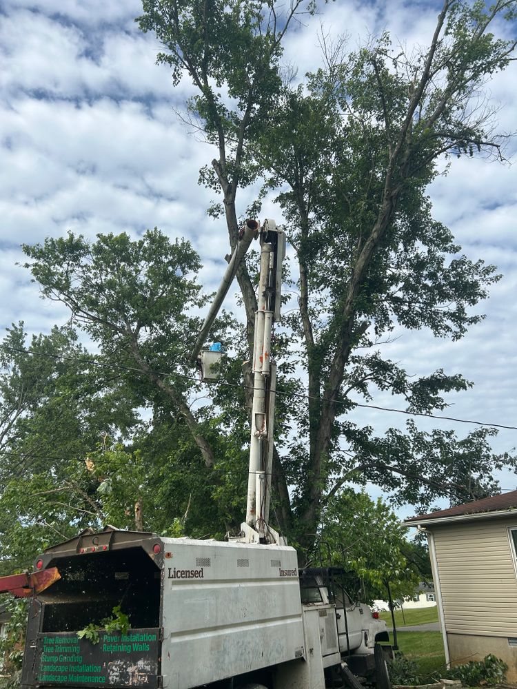 All Photos for Optimum Tree Service And Landscaping in Bowling Green, KY