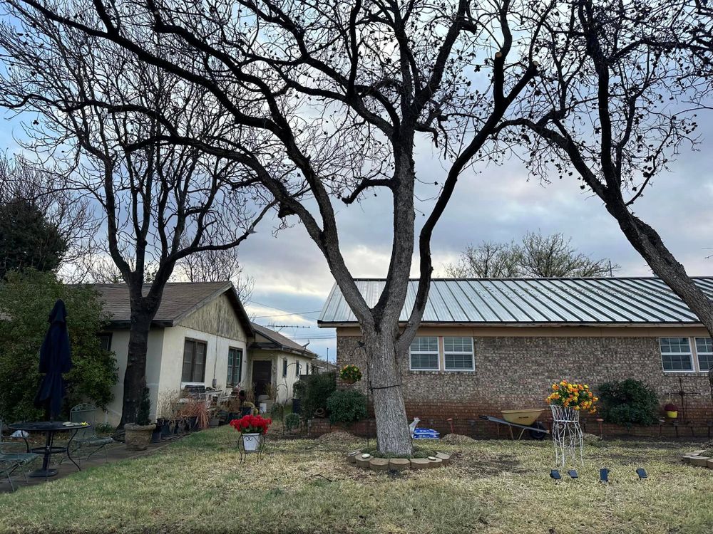 Tree Removal for Compas Cleanup in McCamey, TX