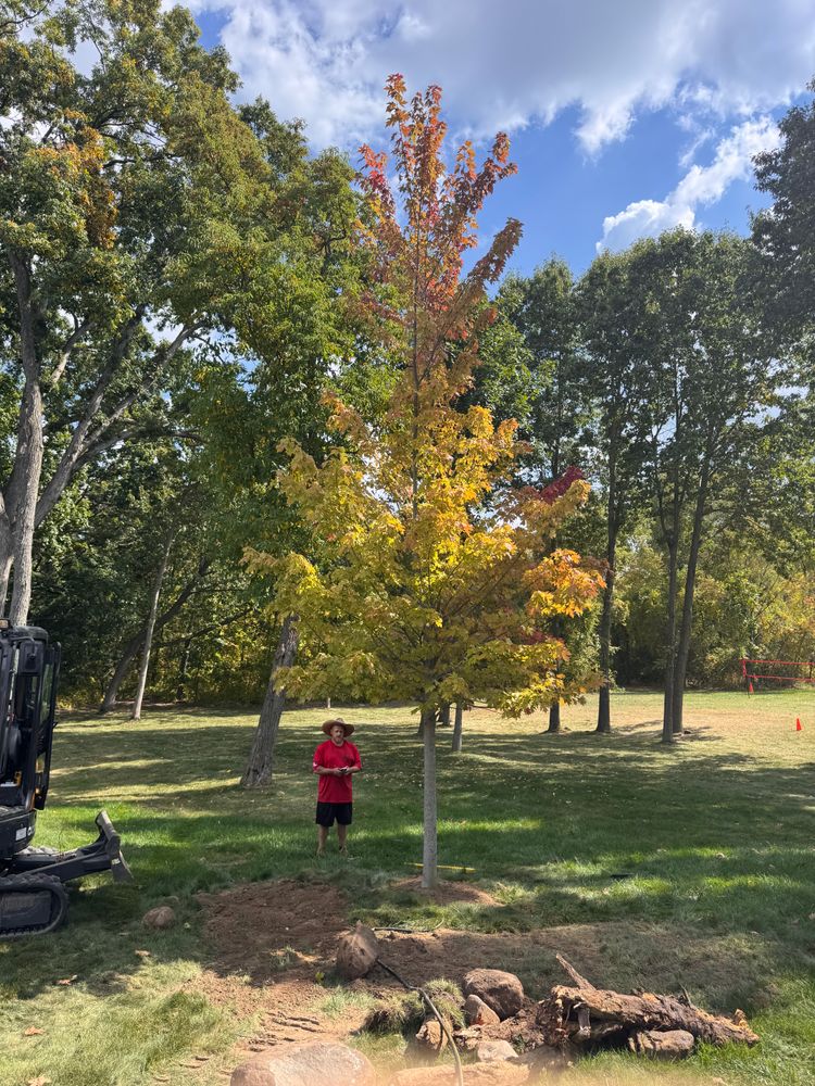 All Photos for Steed's Lawn and Landscape LLC in White Lake, MI