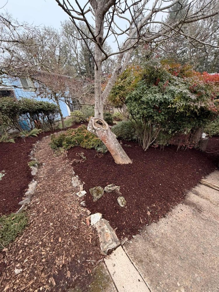 All Photos for Handy Hands Landscape in Corvallis, OR