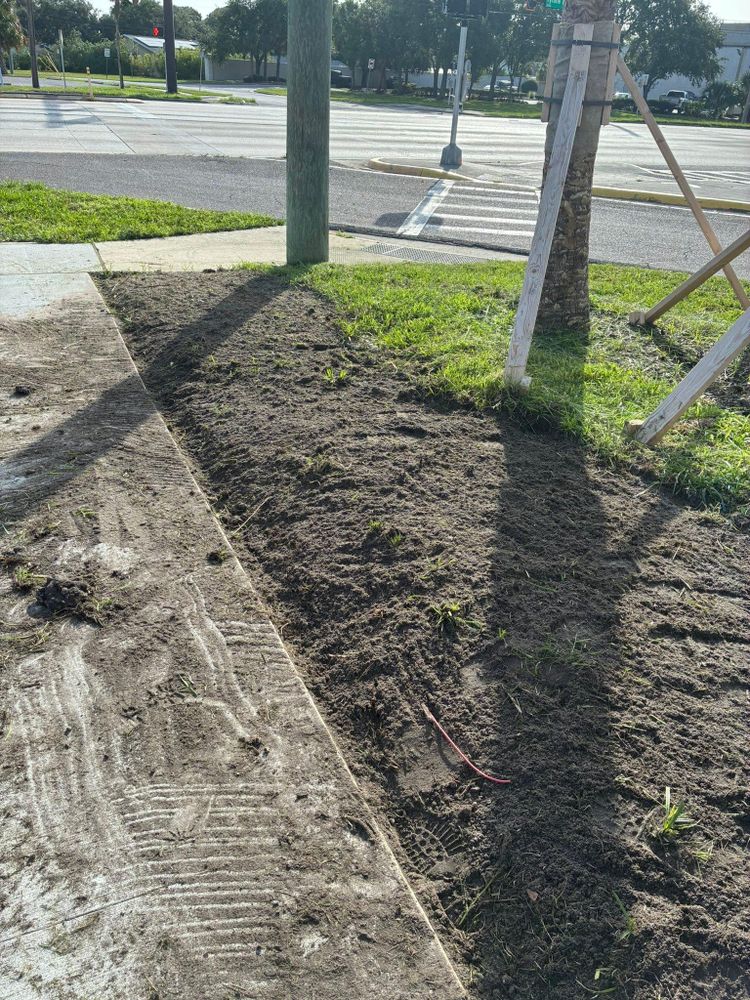 All Photos for Gulf Bay Sod in Clearwater, FL