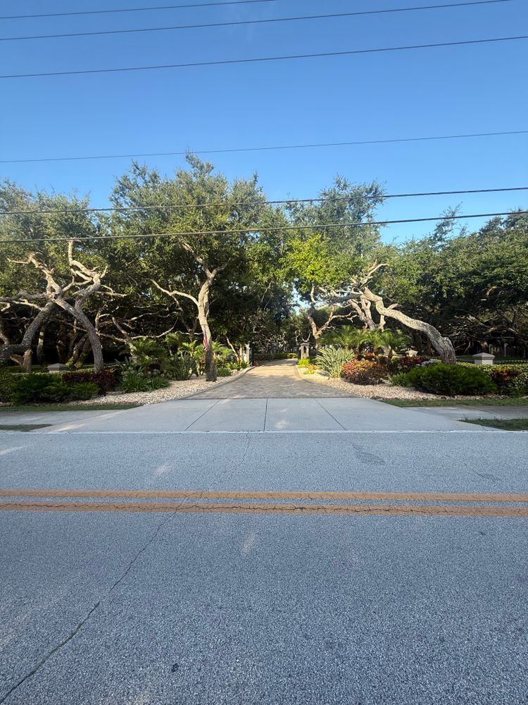 All Photos for Vanic's Landscaping in South Daytona, FL