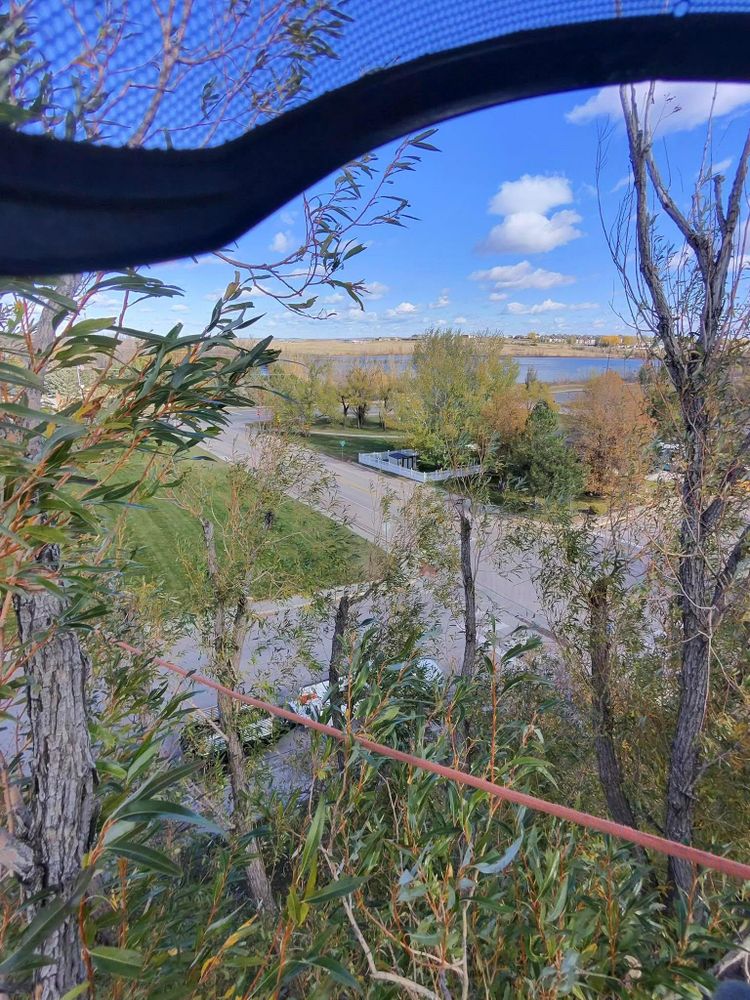 All Photos for Elevated Tree Care in Gillette, WY