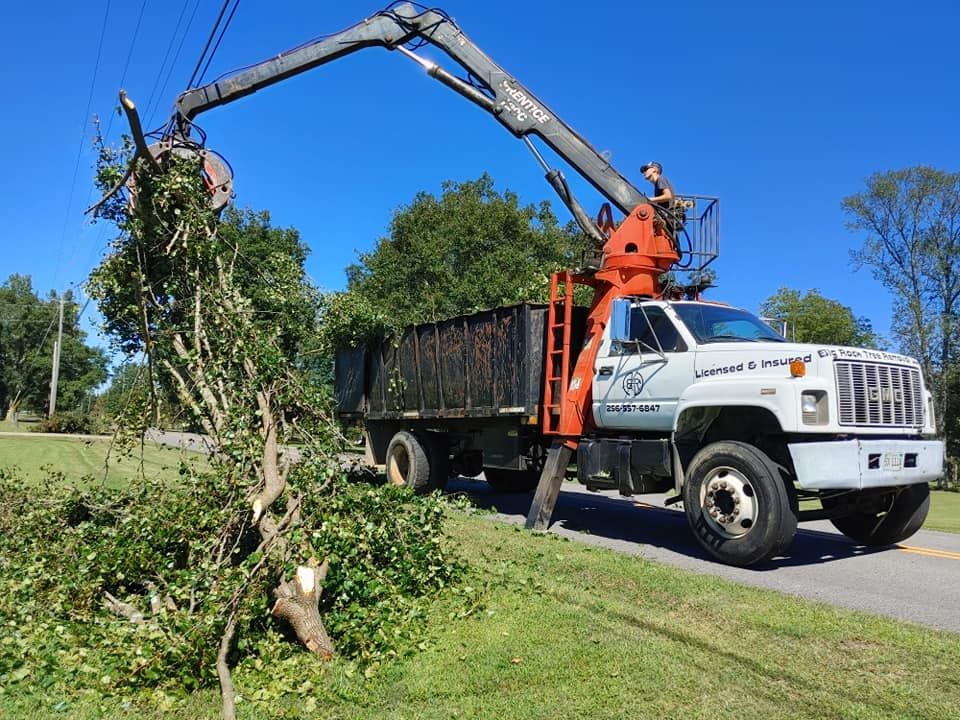 Tree Removal for Big Rock Tree Removal LLC in Boaz, AL