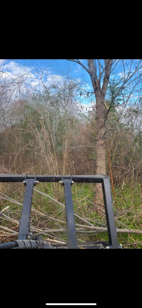 Land Clearing for Gregory Grass and Land in Lafayette, TN