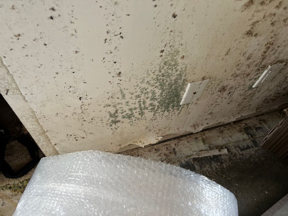 Mold Remediation for N&D Restoration Services When Disaster Attacks, We Come In in Cape Coral,  FL