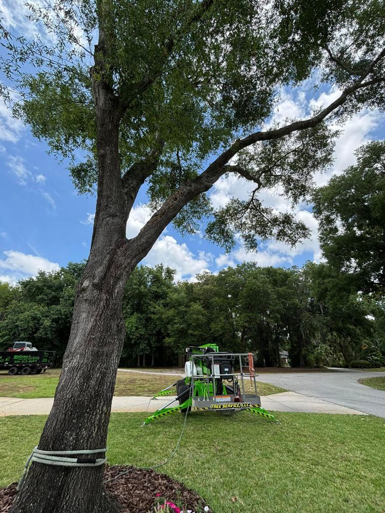 All Photos for McGraw’s Lawn and Tree Service in DeLand, FL