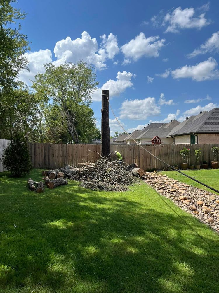 All Photos for JC Land and Tree Service in Kilgore, TX