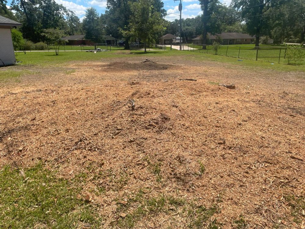 Our Land Clearing & Demolition service efficiently removes unwanted trees, debris, and structures to prepare your site for new projects, ensuring a clean slate while maintaining safety and environmental responsibility. for Equality Contracting And Tree in Kountze, TX