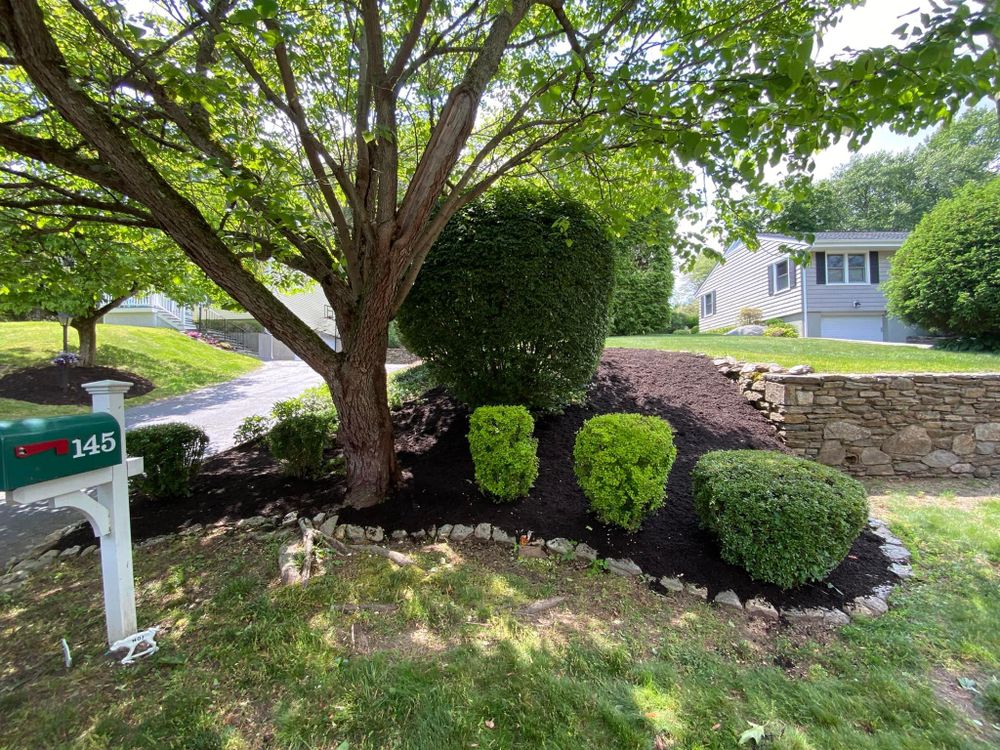 All Photos for Ace Landscaping in Trumbull, CT