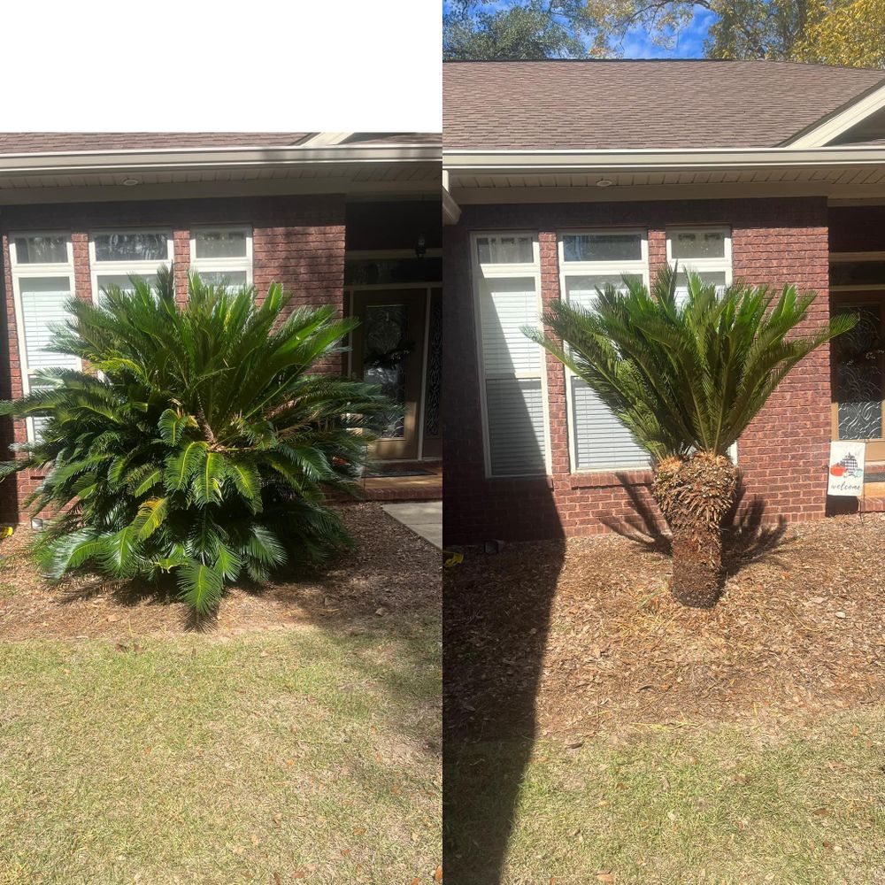 All Photos for All-Star Lawn Care & Soft Washing in Mobile, AL