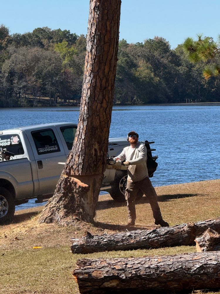 All Photos for T N L - Tree and Land Service in Reynolds, GA