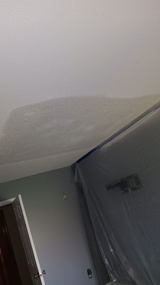 Drywall Repair and Paint for Dead Tree General Contracting in Carbondale, Illinois