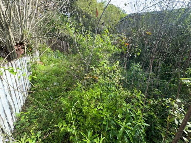 Tree Cleanup  for D&D Services of Pensacola in Pensacola, FL