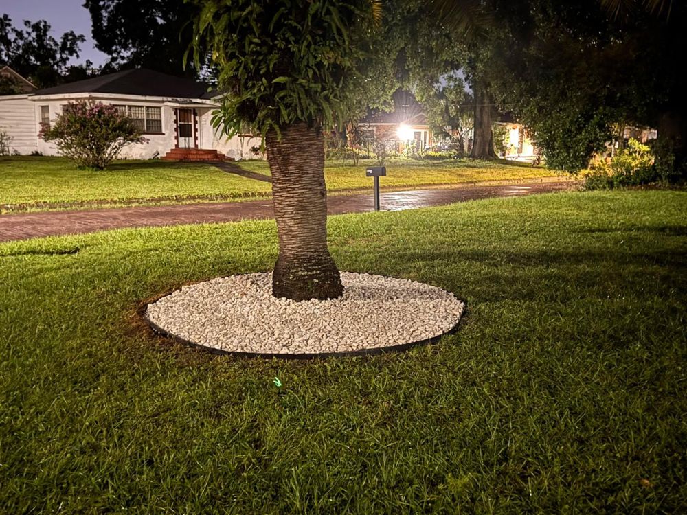 All Photos for Wicked Weeds Propertycare in Tampa, Florida