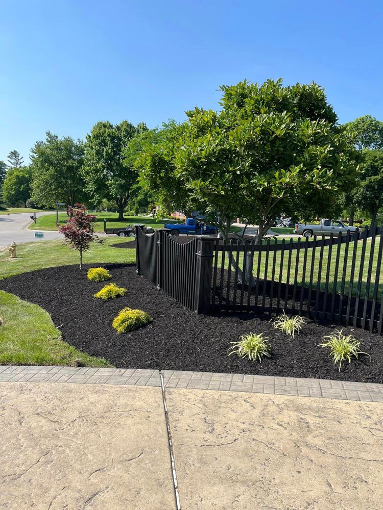 Landscaping for Cincinnati’s Finest Landscape Services LLC in Cincinnati, OH