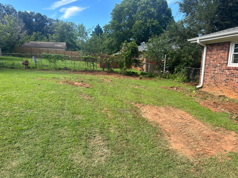 Shrub Removal  for Rescue Grading & Landscaping in Marietta, SC