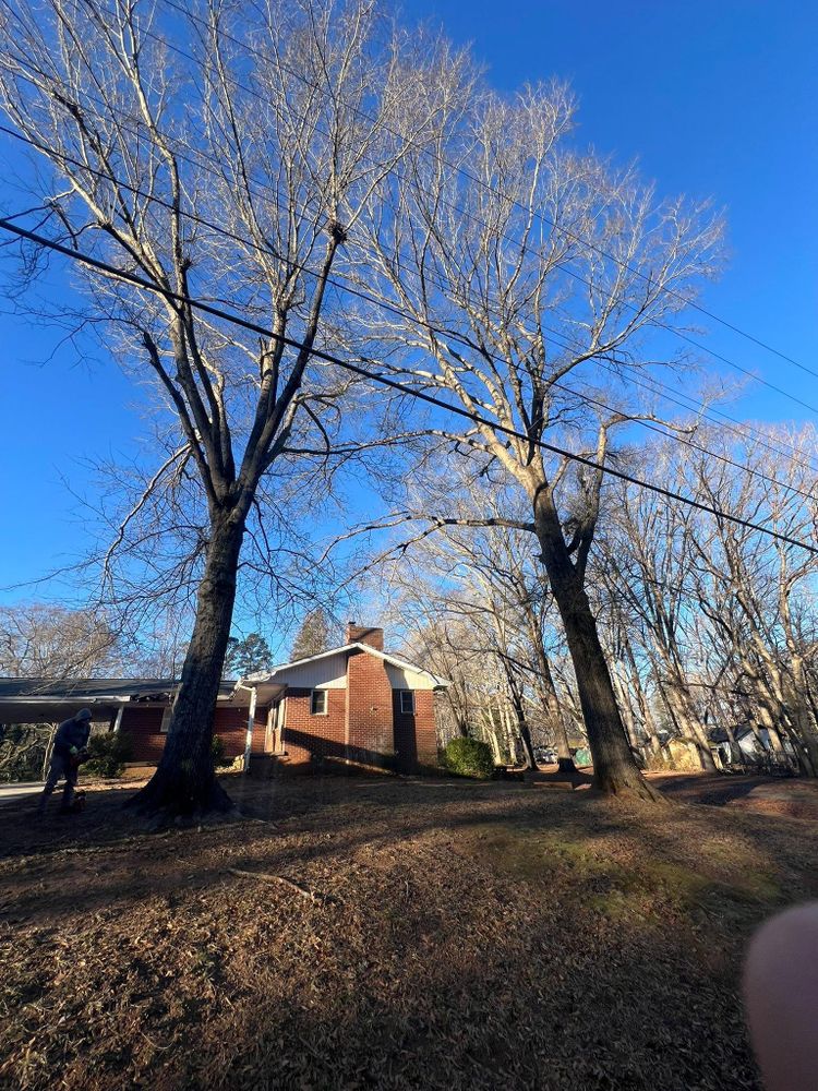 All Photos for Brooks Tree Service in Casar, NC