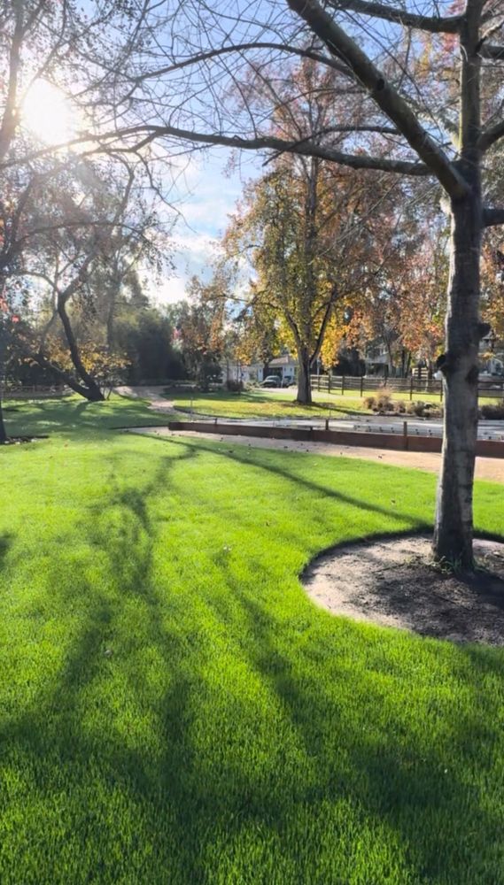 All Photos for Herreras Land Service in San Diego, CA