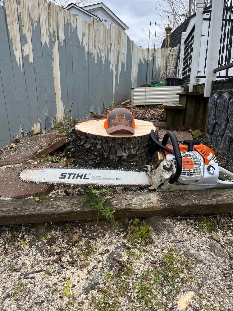 We offer professional stump removal services to fully eliminate unsightly tree stumps from your property, ensuring a clean and clear landscape that is safe and aesthetically pleasing. for H n H Tree Service in Taneyville, MO