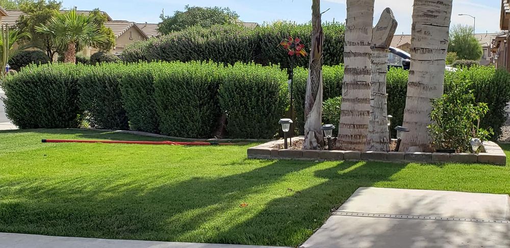 Landscaping for Sunrise Landscape in Maricopa, AZ