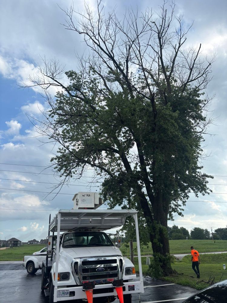 All Photos for Cross Family Tree Service in Kearney, MO