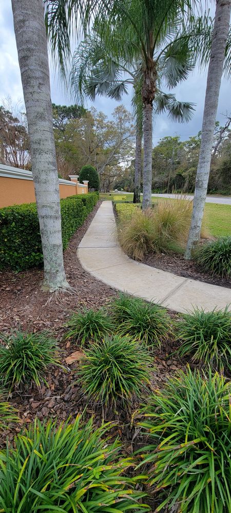 All Photos for Blue Stream Roof Cleaning & Pressure Washing in Tampa, FL