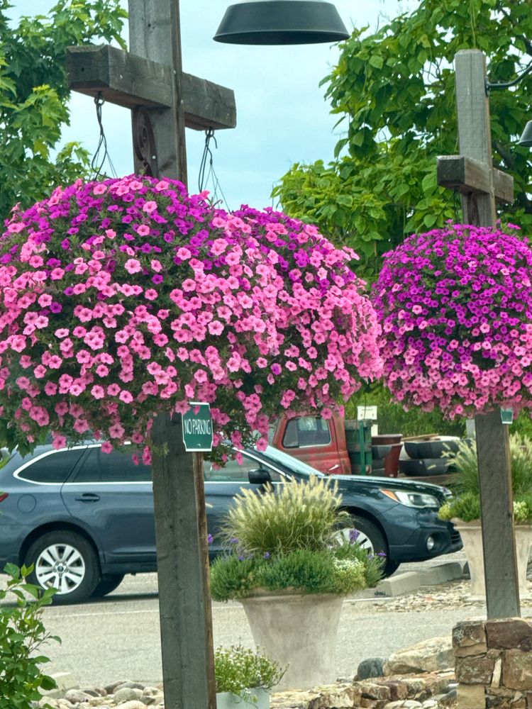 All Photos for Ecogreen Landscape in Denver, CO