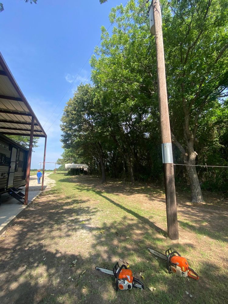 All Photos for Hector’s Tree Services in Nocona, TX