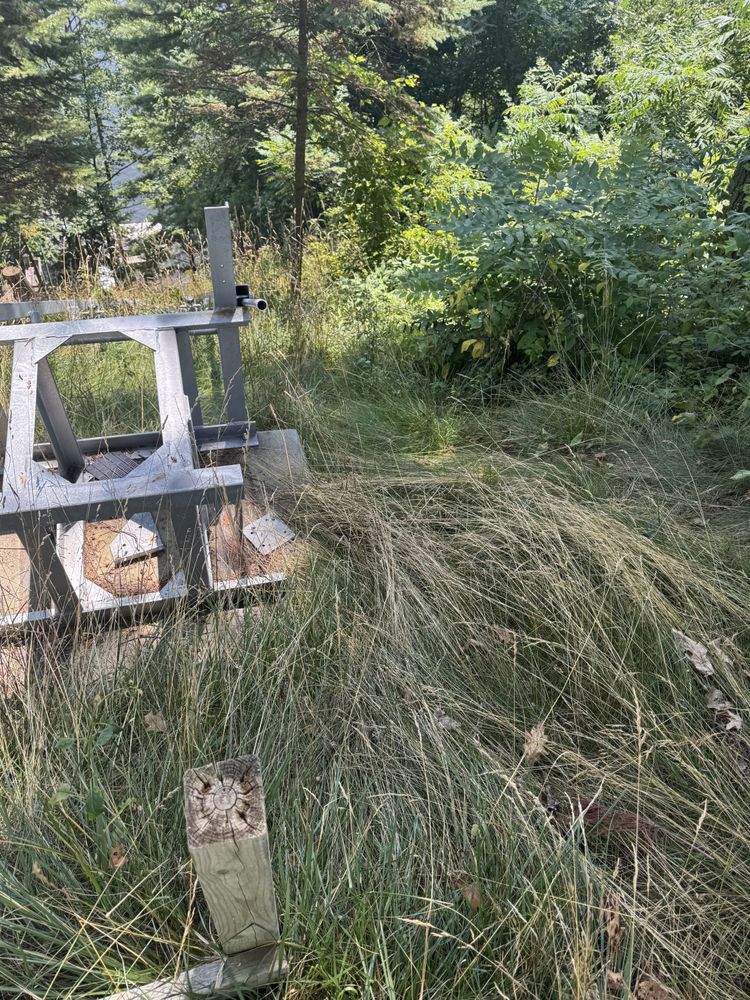 Landscaping Lawn Care for Daugherty's Tough Lawn Care in Essexville, MI