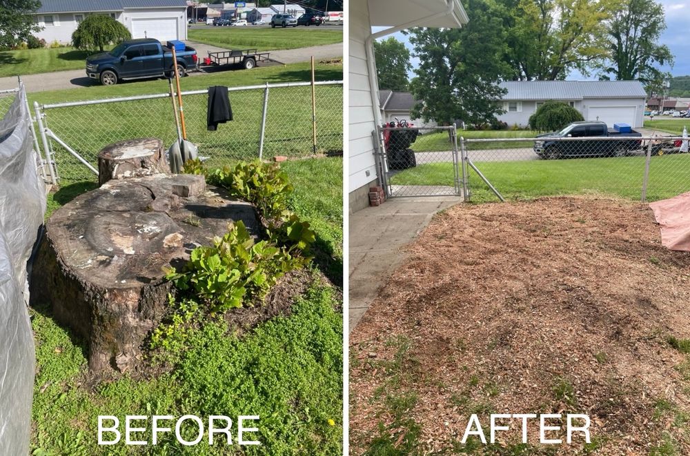 Stump Removal for H&H Stump Grinding in Chillicothe, OH