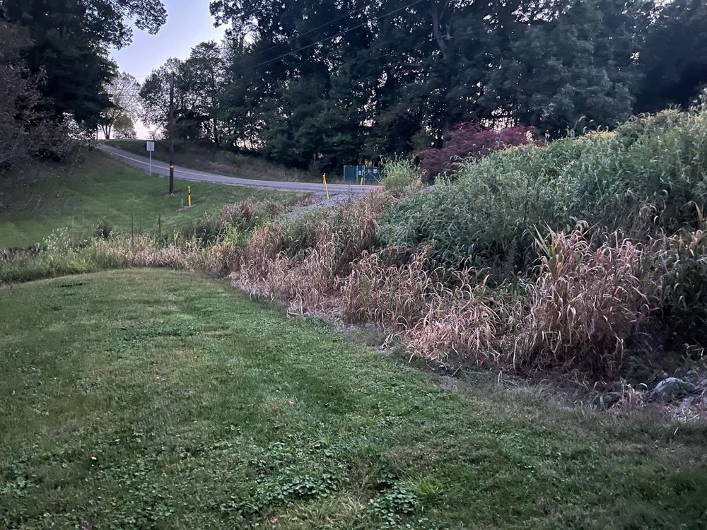 Our Brush Removal service efficiently clears overgrown areas, improving your landscape's appearance. Coupled with our reliable snow removal options, we ensure a pristine property year-round for homeowners seeking comprehensive landscaping solutions. for Duff’s Lawncare in Prospect, PA
