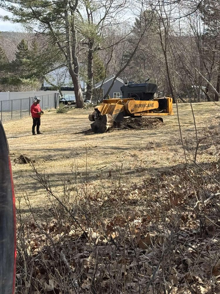 All Photos for Dwights Tree Service LLC in Middleborough, MA