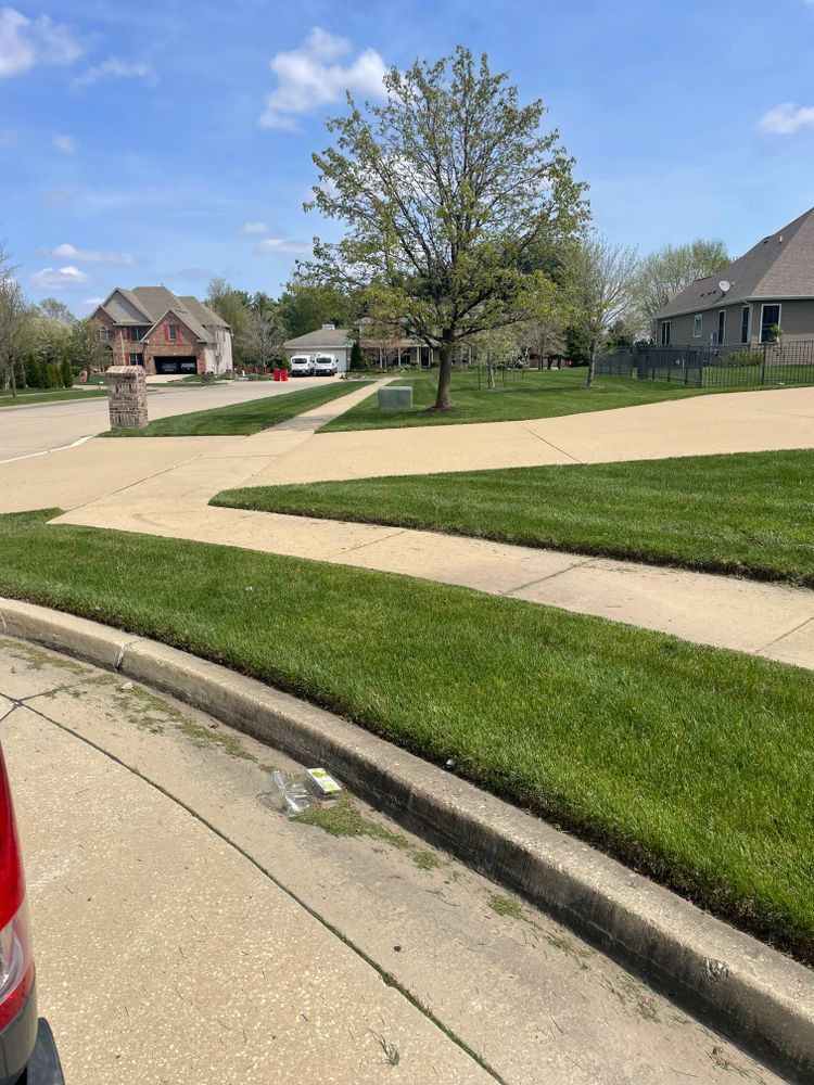 All Photos for MDR Landscaping in Urbana, IL
