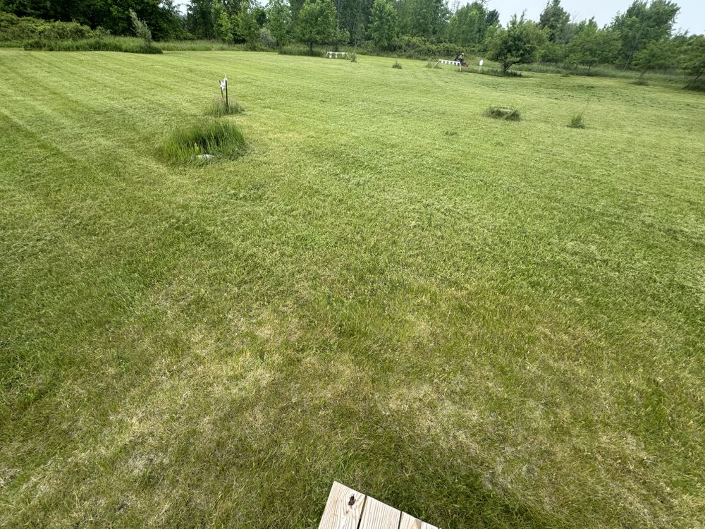 Landscaping Lawn Care for Daugherty's Tough Lawn Care in Essexville, MI