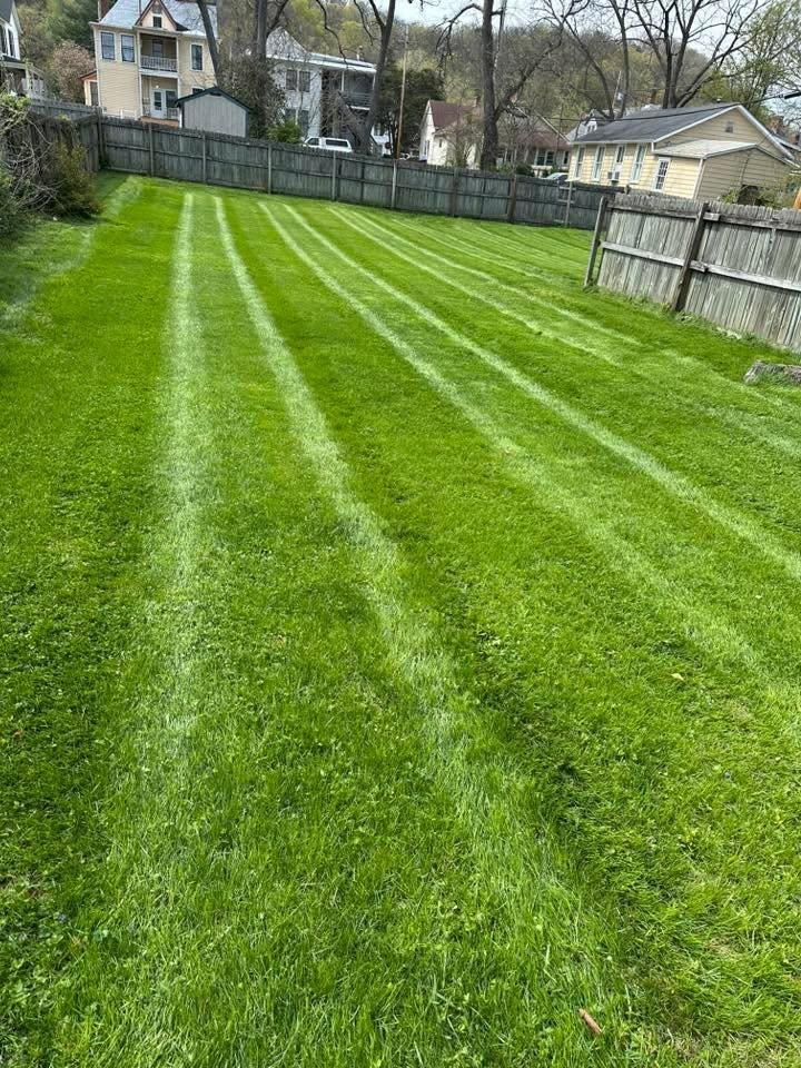 All Photos for JKL Lawn Service in Frankfort, KY