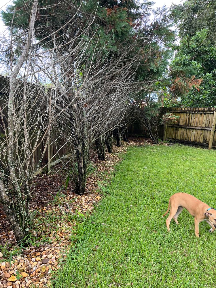 Landscape Enhancements for Space Coast Property Maintenance and Management LLC in Melbourne, FL