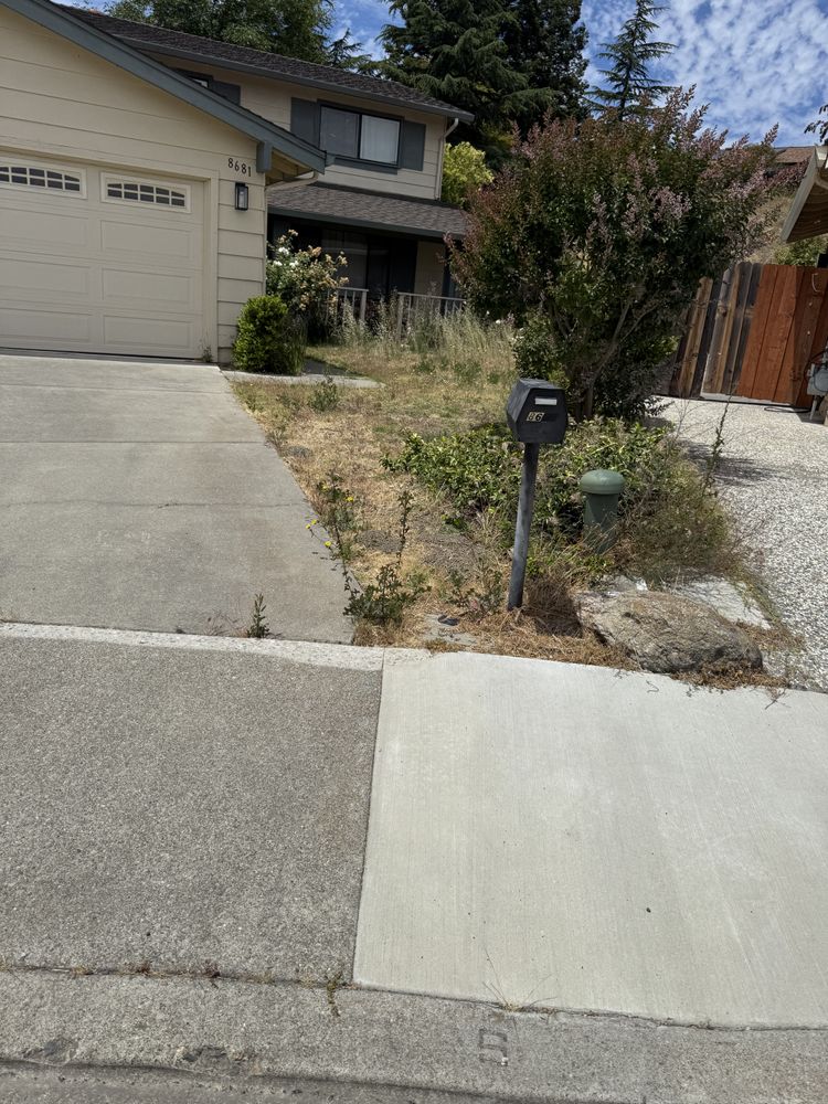 All Photos for CBA Landscaping in Hayward, CA