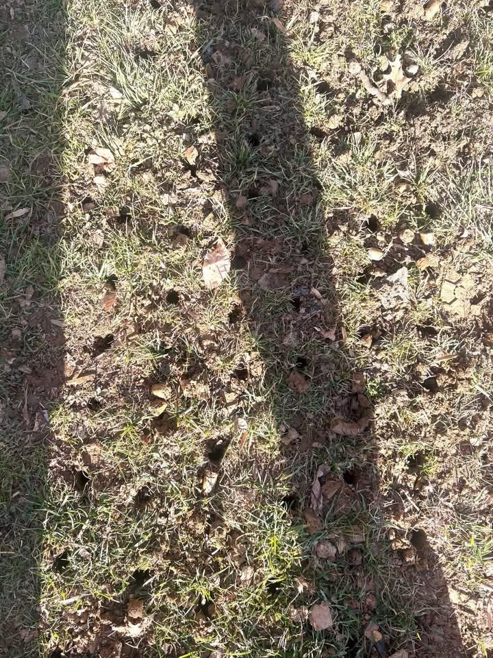 All Photos for Walsh Lawn And Landscape in Olney, MD