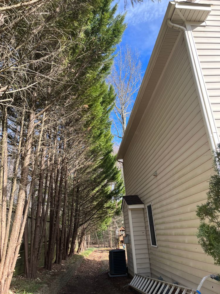 All Photos for Atlas Home Services in Mechanicsville, VA