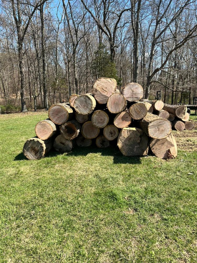 Tree Services for Kadin’s Tree Service in North Vernon, IN