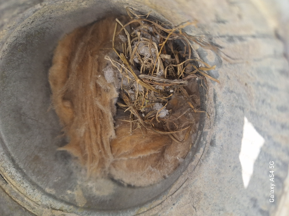 All Photos for Soapy Suds Services in St. Charles, IL