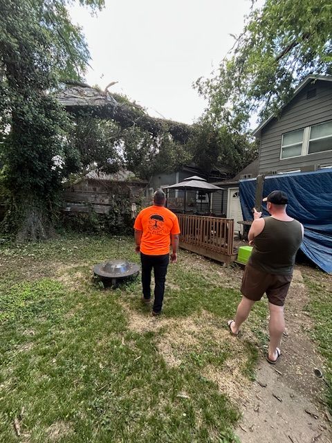 All Photos for Cross Family Tree Service in Kearney, MO