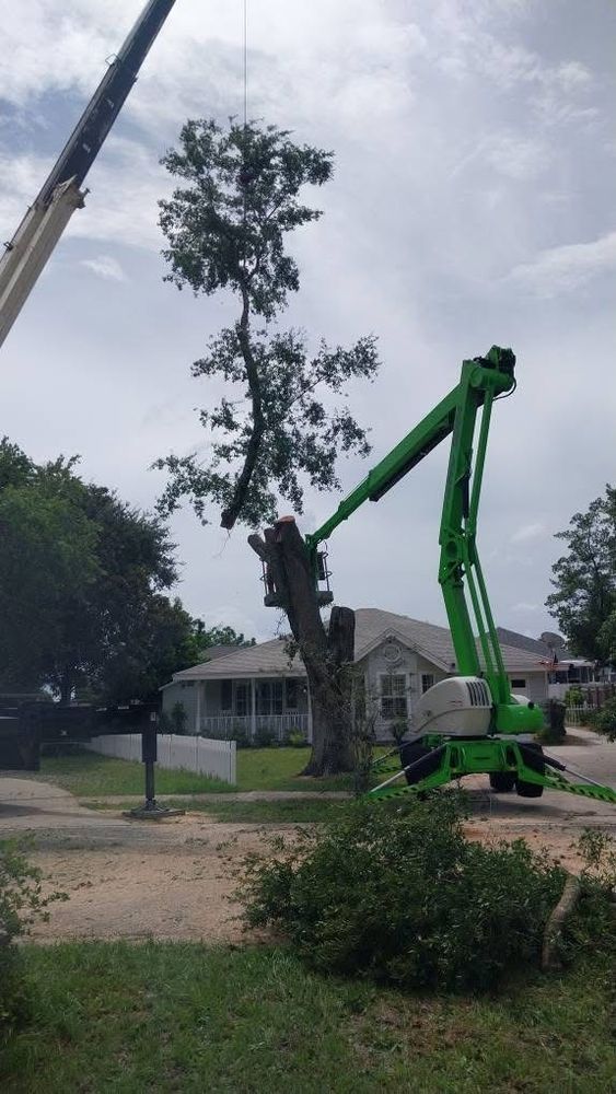 All Photos for Daniel Hickey’s Tree Service in DeLand, FL