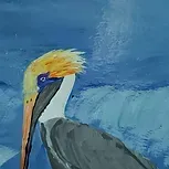 All Photos for Silva Painting Company in Kitty Hawk, NC