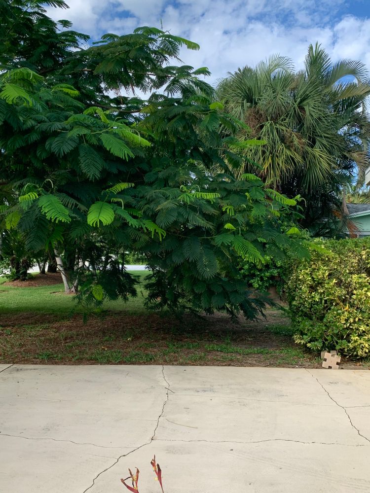 All Photos for Space Coast Property Maintenance and Management LLC in Melbourne, FL